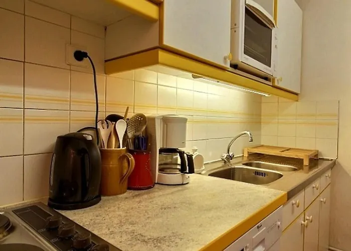 Renove 2 Pieces, Sud, 5 Pers, Pied Des Pistes - Fr-1-455-56 La Plagne